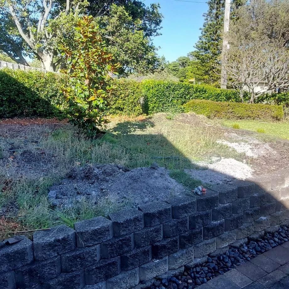 lawn and garden maintenance before photo