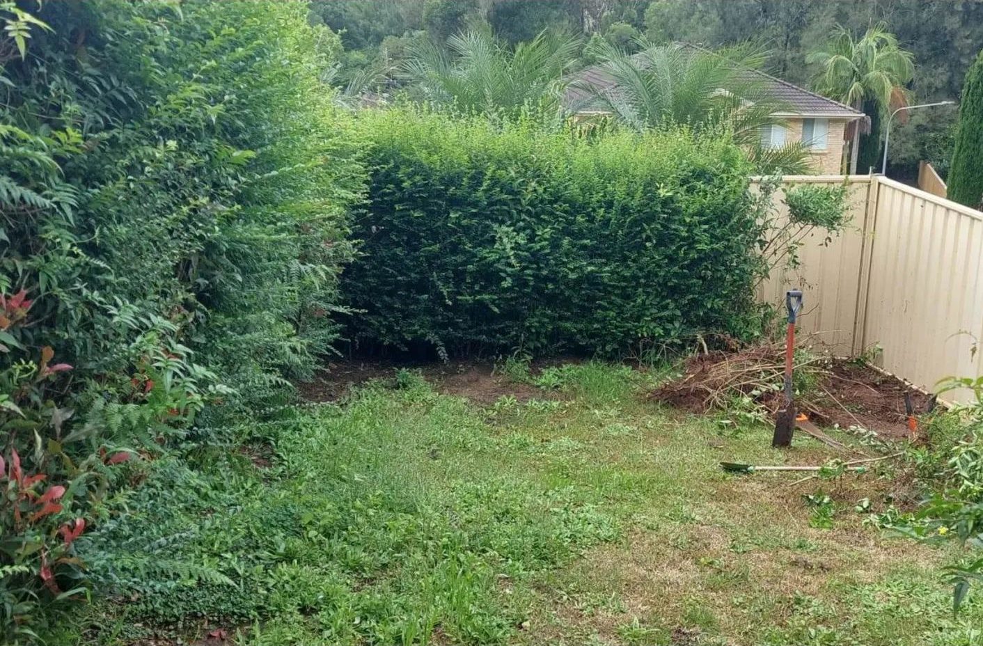 garden makeover before photo from flame tree garden care