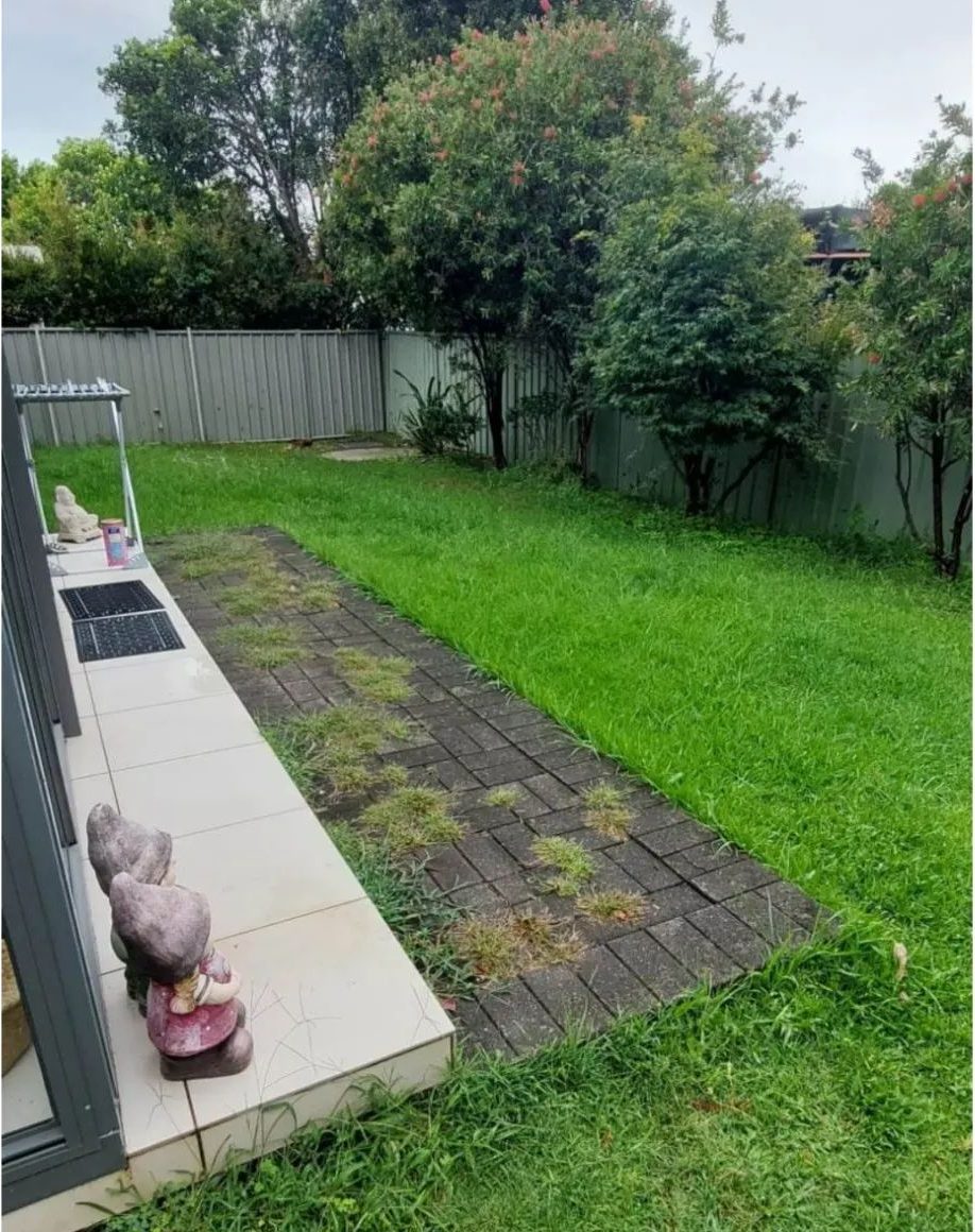 garden makeover before paving a whole new outdoor area